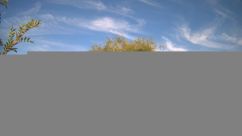 Rosarium Webcam