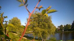 Rosarium Webcam