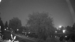 Rosarium Webcam
