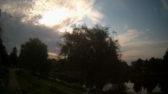 Rosarium Webcam