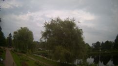Rosarium Webcam