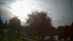 Rosarium Webcam