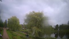 Rosarium Webcam