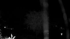 Rosarium Webcam