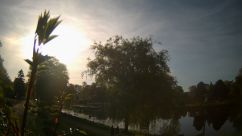 Rosarium Webcam