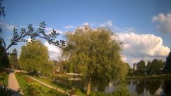 Rosarium Webcam