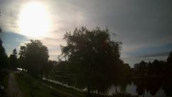 Rosarium Webcam