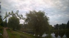 Rosarium Webcam