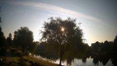 Rosarium Webcam
