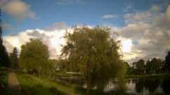 Rosarium Webcam