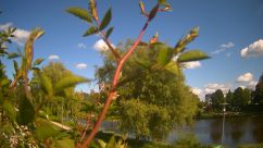 Rosarium Webcam