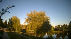 Rosarium Webcam