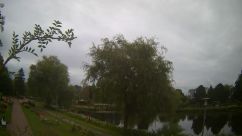 Rosarium Webcam
