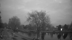 Rosarium Webcam
