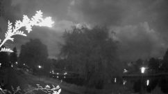 Rosarium Webcam