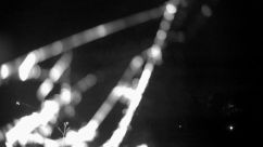 Rosarium Webcam
