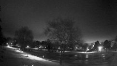Rosarium Webcam
