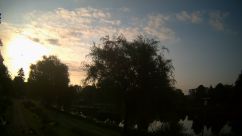 Rosarium Webcam
