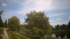 Rosarium Webcam