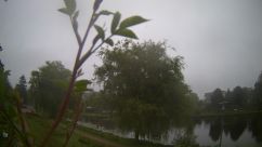 Rosarium Webcam