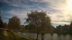 Rosarium Webcam