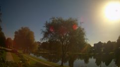 Rosarium Webcam