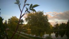 Rosarium Webcam