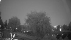 Rosarium Webcam