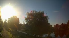 Rosarium Webcam
