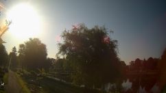 Rosarium Webcam
