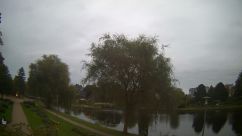Rosarium Webcam