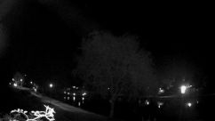 Rosarium Webcam