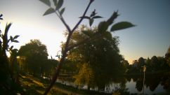 Rosarium Webcam