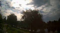 Rosarium Webcam