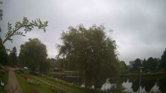 Rosarium Webcam