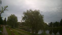 Rosarium Webcam
