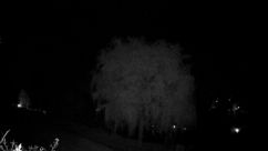 Rosarium Webcam