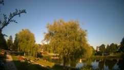 Rosarium Webcam
