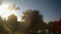Rosarium Webcam