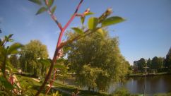 Rosarium Webcam