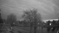 Rosarium Webcam