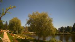 Rosarium Webcam