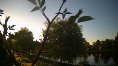 Rosarium Webcam