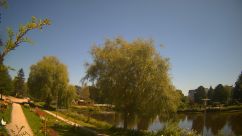 Rosarium Webcam