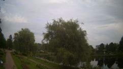 Rosarium Webcam