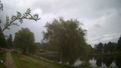Rosarium Webcam