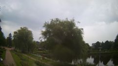 Rosarium Webcam