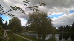 Rosarium Webcam