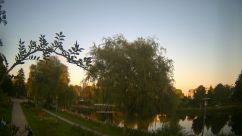 Rosarium Webcam