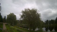 Rosarium Webcam